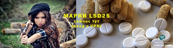 ПСИЛОЦИБИНОВЫЕ ГРИБЫ Баксан