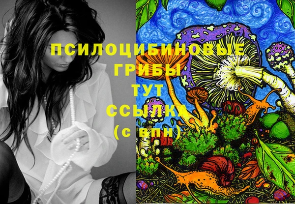 ПСИЛОЦИБИНОВЫЕ ГРИБЫ Баксан