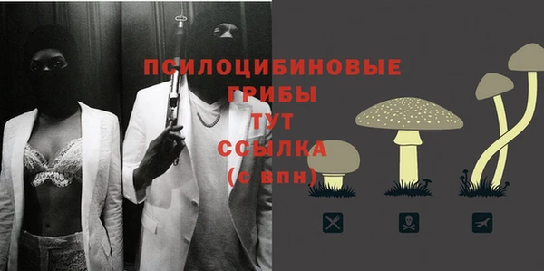 молекула духа Инсар