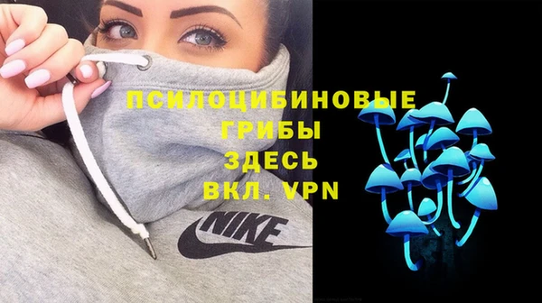 ешки Армянск